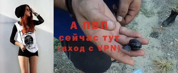 кокаин Белокуриха