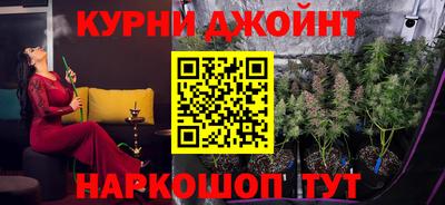 дживик Аша