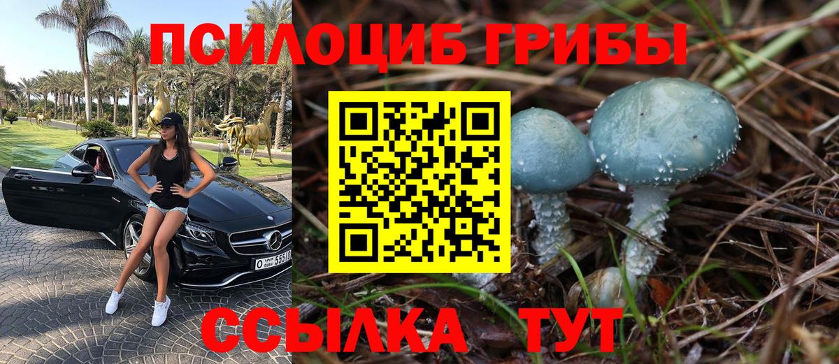 Галлюциногенные грибы GOLDEN TEACHER Великие Луки